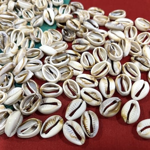 Kaurischelpen, acryl kaurikralen, decoratieve kralen, Indiase knutselbenodigdheden, doe-het-zelfprojecten - 100 stuks