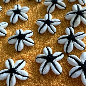Puede incluir: Una colección de botones en forma de flor de concha blanca y negra. Los botones tienen un centro negro y pétalos blancos con rayas negras.