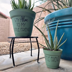 Puede incluir: Dos plantas de aloe vera en macetas verdes. Una está sobre un pequeño soporte de metal negro. La maceta más grande tiene el texto "Say Aloe to my little friend". La maceta más pequeña tiene el texto "Little Friend". Una maceta azul grande en el fondo.