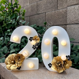 Números iluminados, marquesina con números, decoración de mesa, número de cumpleaños, letrero iluminado, luces de fiesta personalizadas, diseño floral, 20