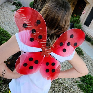 May include: Red ladybug wings with black polka dots and glitter accents. The wings are attached to a glittery brown center piece. The wings are worn over a white t-shirt.