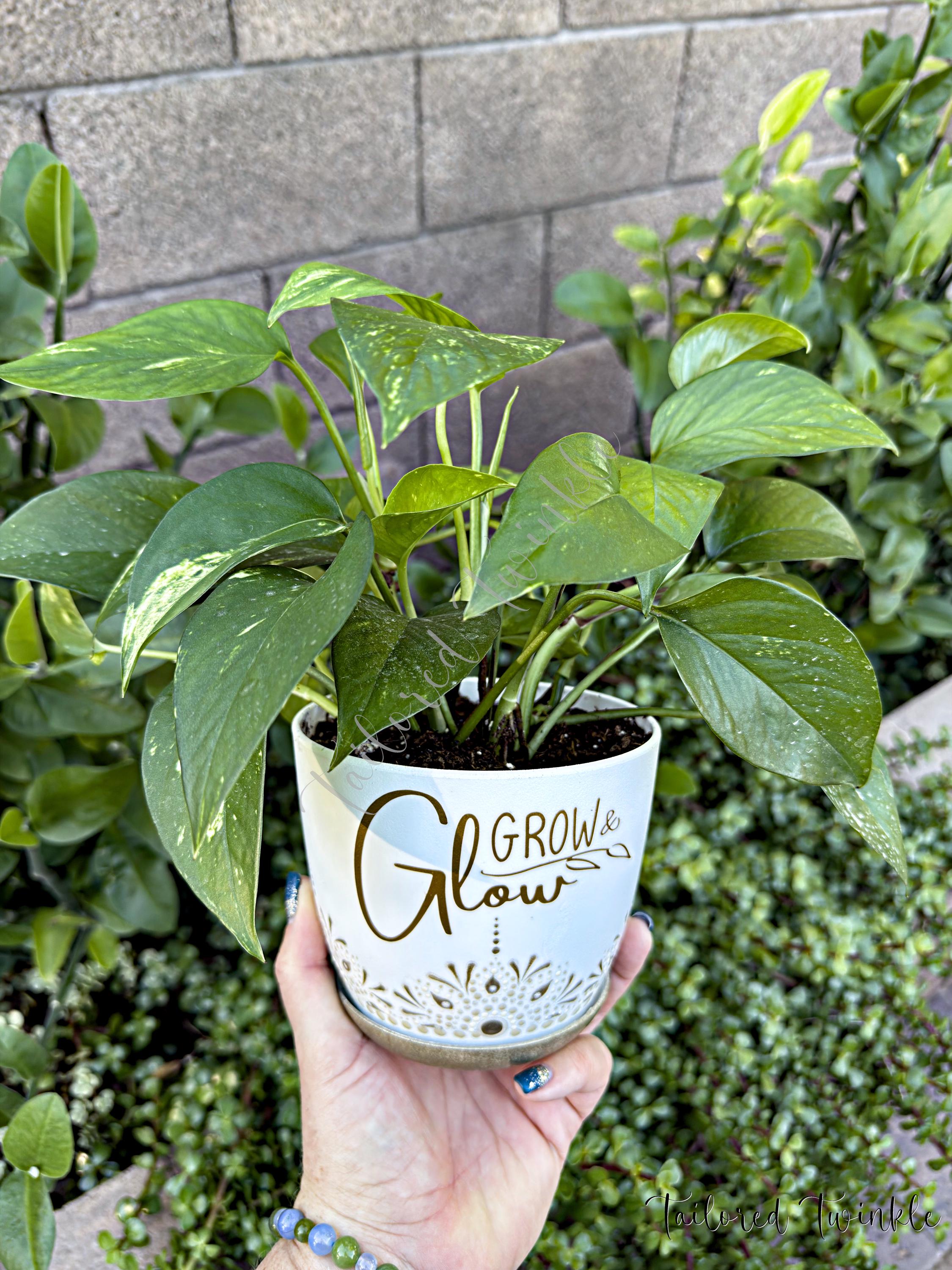 装飾的な植木鉢、手描きのプランター、カスタム植木鉢、ビニール