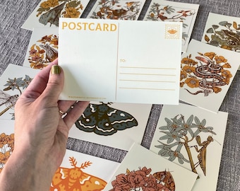 Postcard Set, 12 4x6&quot; Nature Illustration Postcards, printed on Recycled Paper with Soy Inks | Snake, Bird, Bat, Frog, Hummingbird, Moth