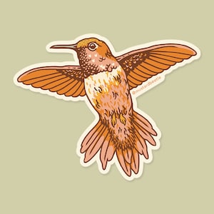 Colibrí, Ilustración de pájaros, Pegatina de vinilo impermeable 3"