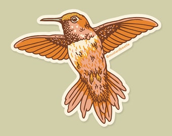 Hummingbird, Bird Illustration, 3" Vinyl Sticker