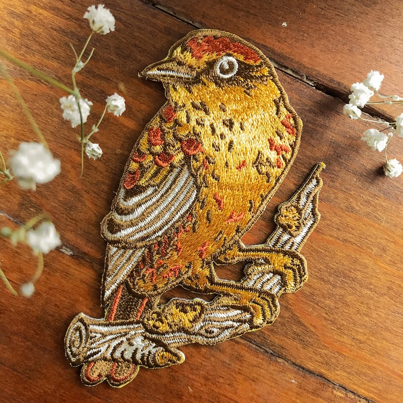 Palm Warbler Bird Embroidered Patch, Iron on Patch, Ornithology image 4