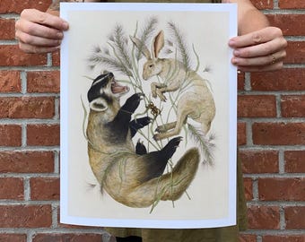 Fine Art Giclee Print: Chihuahuan Desert