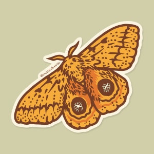 IO Moth, Entomology Illustration, 3" Vinyl Sticker