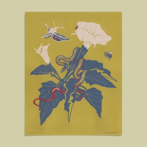 May include: A yellow background with a blue and white flower with a red and white moth, a red and black salamander, a green snake, and a bee. The text "Sun Garden Prints" and "Botanical Art Prints" is at the bottom of the image.