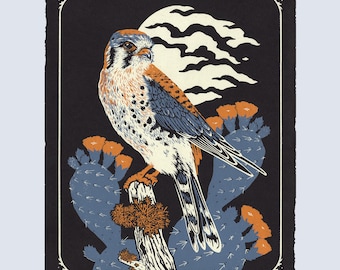 Kestrel & Prickly Pear Cactus 11x14" Screenprint, art print on paper