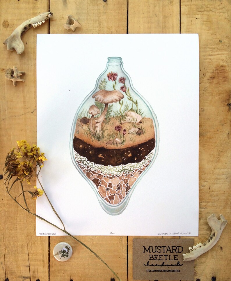 Terrarium Illustration Art Print Terrarium Watercolor Etsy