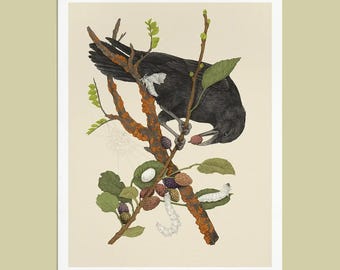 Fine Art Giclee Print: Crow & Silk Moths