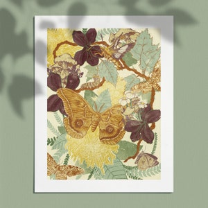 May include: A vintage botanical illustration featuring a large brown and cream moth with intricate wing patterns, surrounded by green leaves, yellow flowers, and other insects. The artwork is rendered in a muted color palette with shades of brown, green, and yellow.