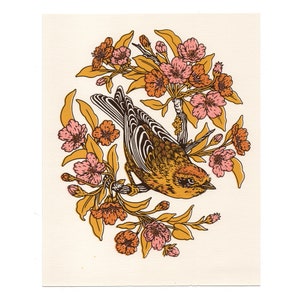 Palm Warbler and Plum Blossoms 8x10", Bird and Flowers, Hand-Printed Screenprint