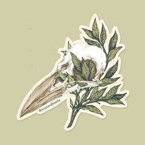 Crow Skull, Bird Skull, Waterproof Vinyl Sticker 3&quot;