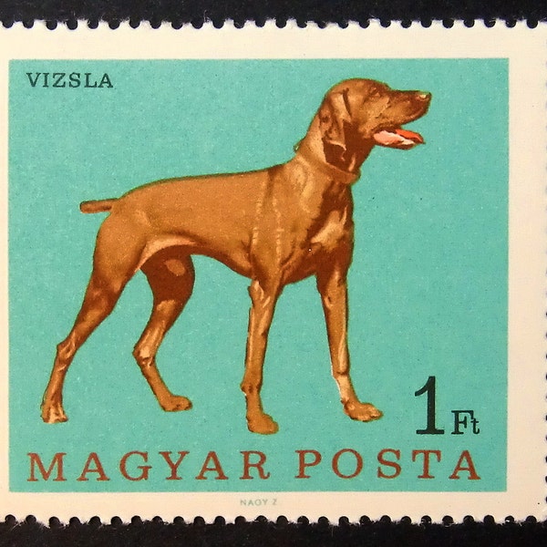 Vizsla Dog Hungarian Pointer -Handmade Framed Postage Stamp Art 11536