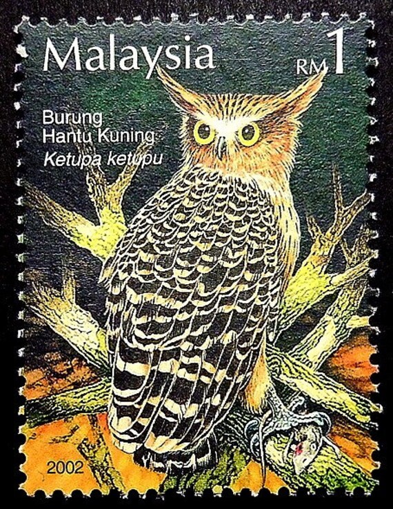 Items Similar To Buffy Fish Owl Burung Hantu Kunning Ketupa