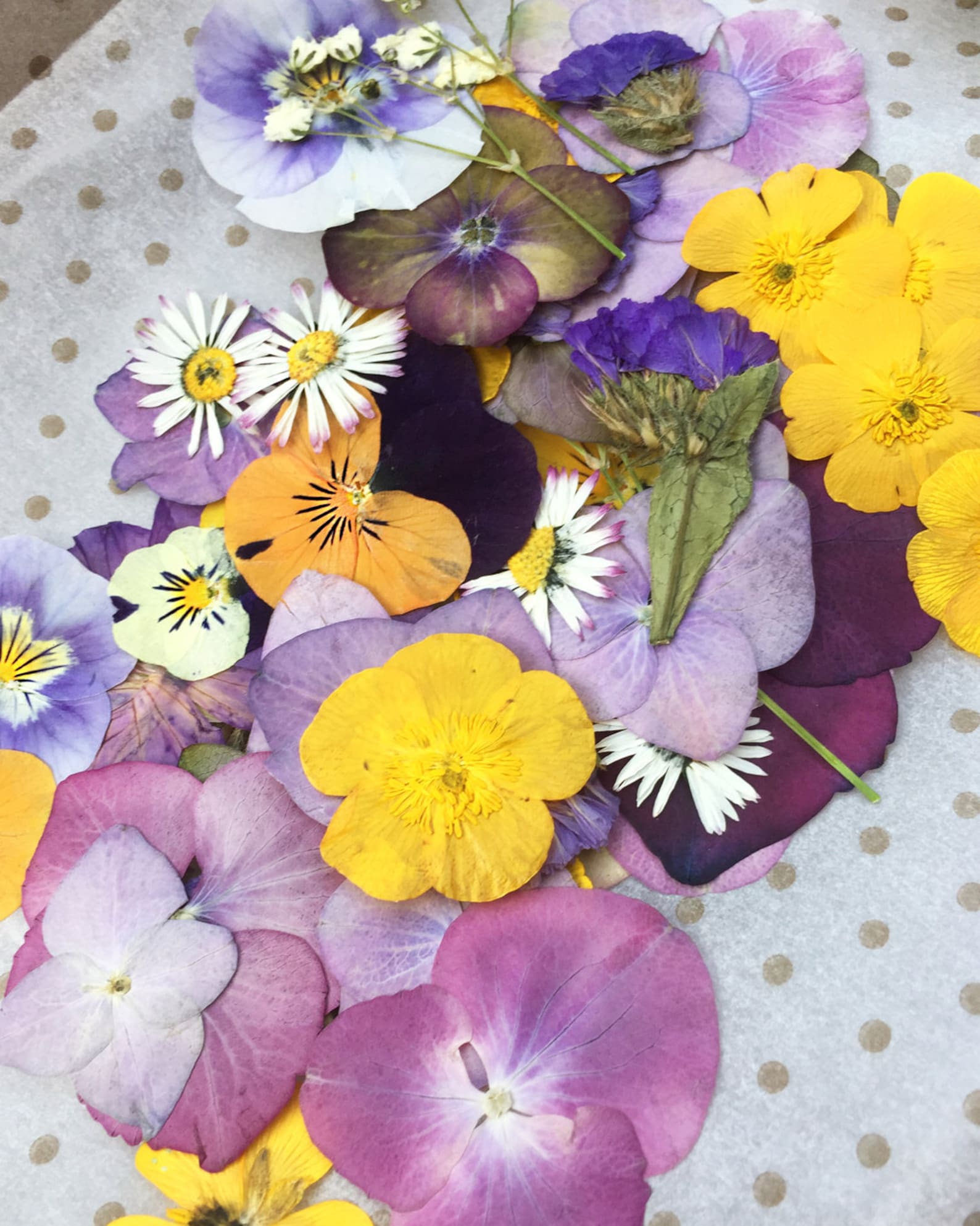 Bulk Dried & Pressed Flowers High Quality Mixes | Etsy