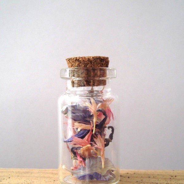 Small Glass Bottle Pendant/Trinket with Pressed Delphinium Flower Petals