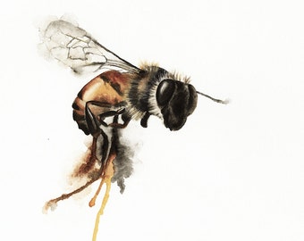 Dripping Bee Watercolor Print