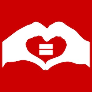 LGTB TShirt Equal Rights Gay Marriage Gay Lesbian Transgender Feminist T-Shirt (also available on crewneck sweatshirts and hoodies) SM-5XL