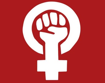 FEMINIST SHIRT Womens Rights T-Shirt Lesbian Equality Lbqt Womens Tee Shirt (also available on crewneck sweatshirts and hoodies) SM-5XL