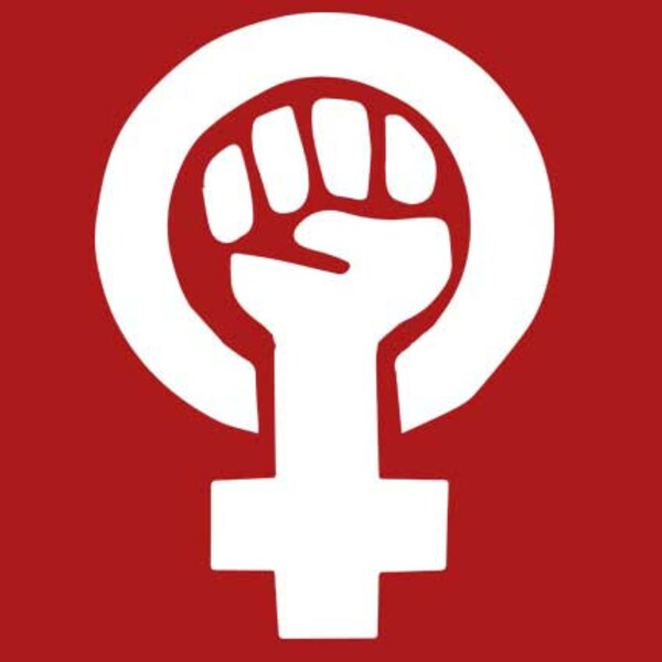 CAMISA FEMINISTA Camiseta Feminina Direitos Igualdade Lésbica Lbqt Camiseta Feminina (também disponível em moletons e moletons com gola redonda) SM-5XL