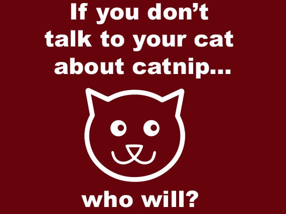 Women Humor Animal If You Don't Talk To Your Cat T-Shirt Women Humor Animal If You Don't Talk To Your Cat T-Shirt