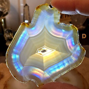 May include: A polished agate slice with a distinctive shape, displaying concentric bands of white, cream, and iridescent colours. The edges are a warm yellow-brown. The centre features a geometric pattern. This decorative stone is ideal for collectors.