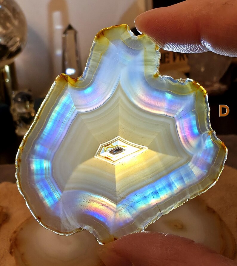 May include: A polished agate slice with a distinctive shape, displaying concentric bands of white, cream, and iridescent colours. The edges are a warm yellow-brown. The centre features a geometric pattern. This decorative stone is ideal for collectors.