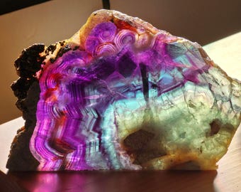 Gestreepte florietplaat met pyrietkorst - standaard inbegrepen