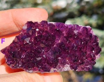 Amatista Alacam de Turquía: protección con jalea de uva morada intensa