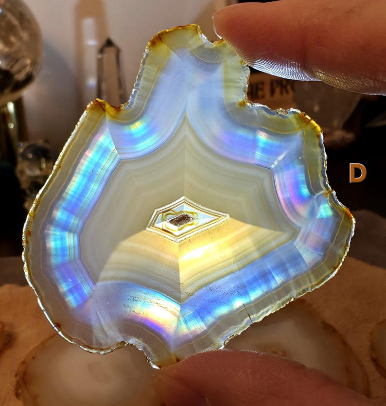 May include: A polished agate slice with a layered, banded pattern. The stone features iridescent bands of blue, yellow, and white, with a central geometric design. The outer edge has a golden-brown hue, and the overall shape is irregular.