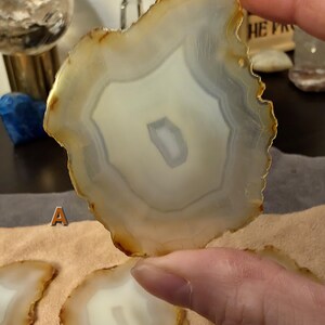 May include: A polished agate slice, displaying a pattern of white, grey, and brown concentric bands. The natural stone has an irregular shape and a translucent quality. Other agate slices are visible below. The image showcases natural stone decor.