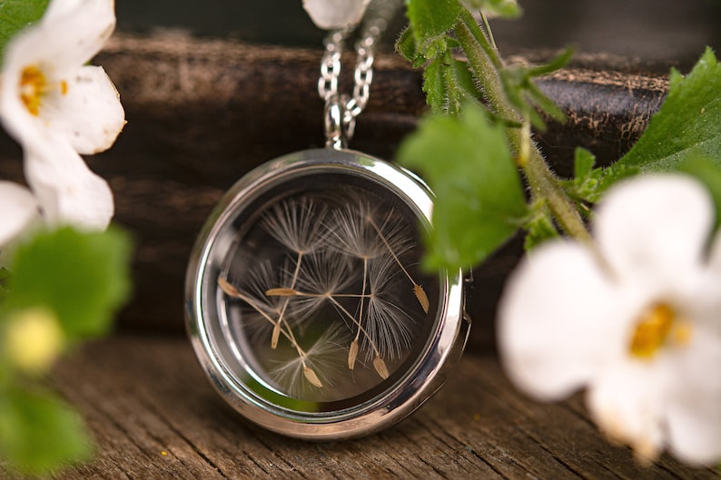 Real Dandelion Locket Necklace, Dandelion Seed Jewelry, Nature Amulet, Talisman, Medallion, Anniversary Birthday Gift For Her, For Women image 6