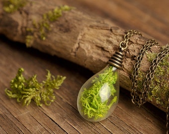 Woodland necklace, terrarium necklace, real moss necklace, nature necklace, green necklace, antique brass pendant, glass vial necklace