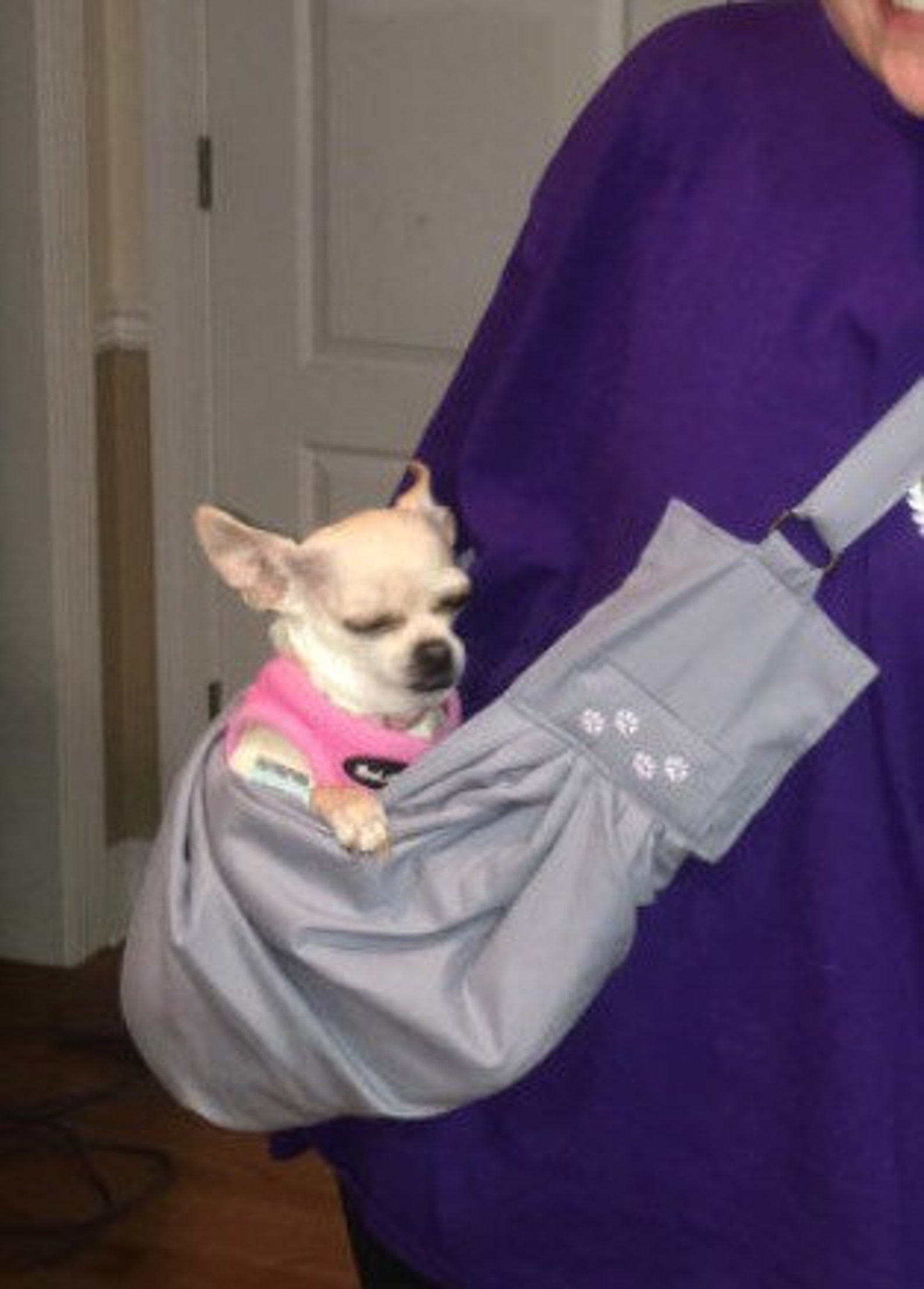 Personalized Teacup Pet Sling Extra Long Adjustable Strap Etsy