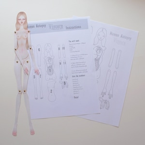 May include: A printable paper doll set for creating a human anatomy model. The set includes a female figure, body parts, and instructions. The title "Human Autopsy Viacara Instructions" is printed on the paper.