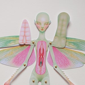 Lift-the-Flap Anatomy Paper Doll: Faerie