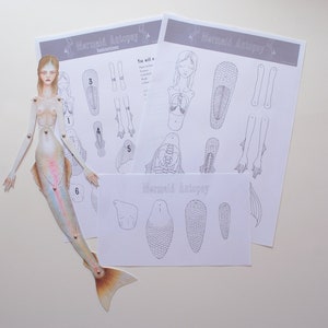 Mermaid Anatomy Paper Doll Colouring Page - Print Colour & Assemble