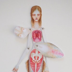 Lift-the-flap Anatomy Paper Doll: Mermaid