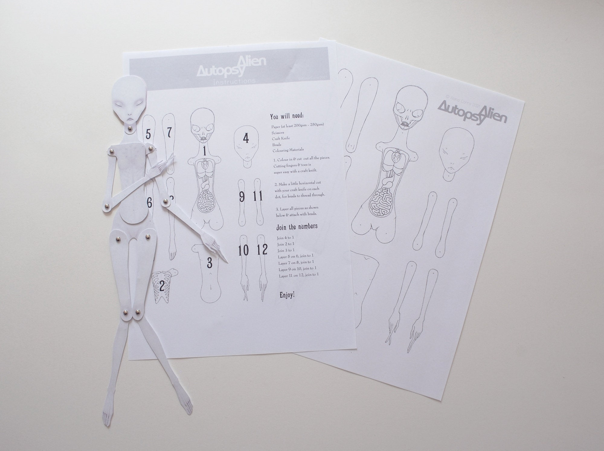 Ball Jointed Doll Blueprint