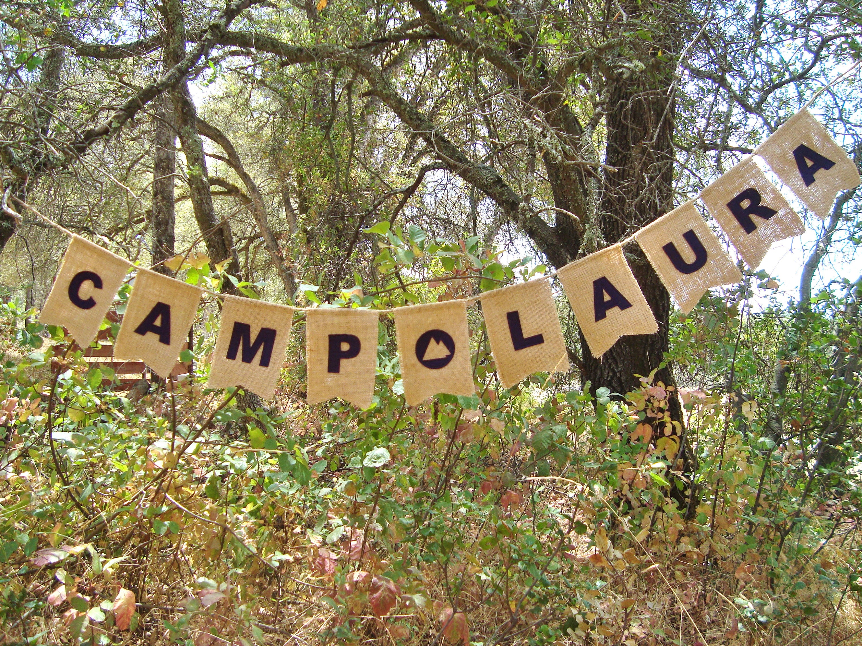 Camp Banner Felt Letters And Mountain Symbol On Burlap Etsy