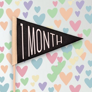 Baby Month Photo Props, Monthly Milestones, One-of-a-kind Custom Pennants on a Stick, 12 Months, Photoshoot idea for new baby shower gift