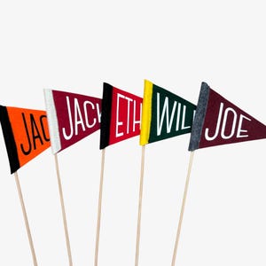 Custom Mini Felt Pennant on a Stick | Personalized Name Flag | Party Decoration, Photo Prop, Table Centerpiece, Celebration Banner