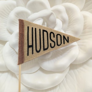 May include: A tan felt pennant flag with the name "HUDSON" in black lettering. The flag has a brown border and is attached to a wooden stick. The background is a large, white, flower-shaped decoration.