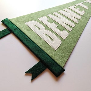 Personalized Pennant with Block Name Letters | Custom Felt Name Pennant | 12" x 20" Triangle | Newborn Photo Prop