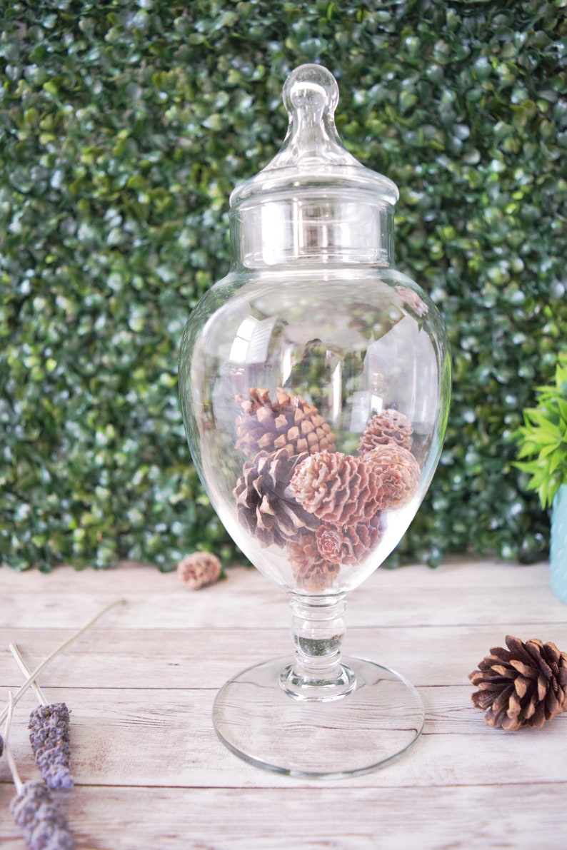 Vintage Blown Glass Pedestal Apothecary Jar with Lid for Etsy