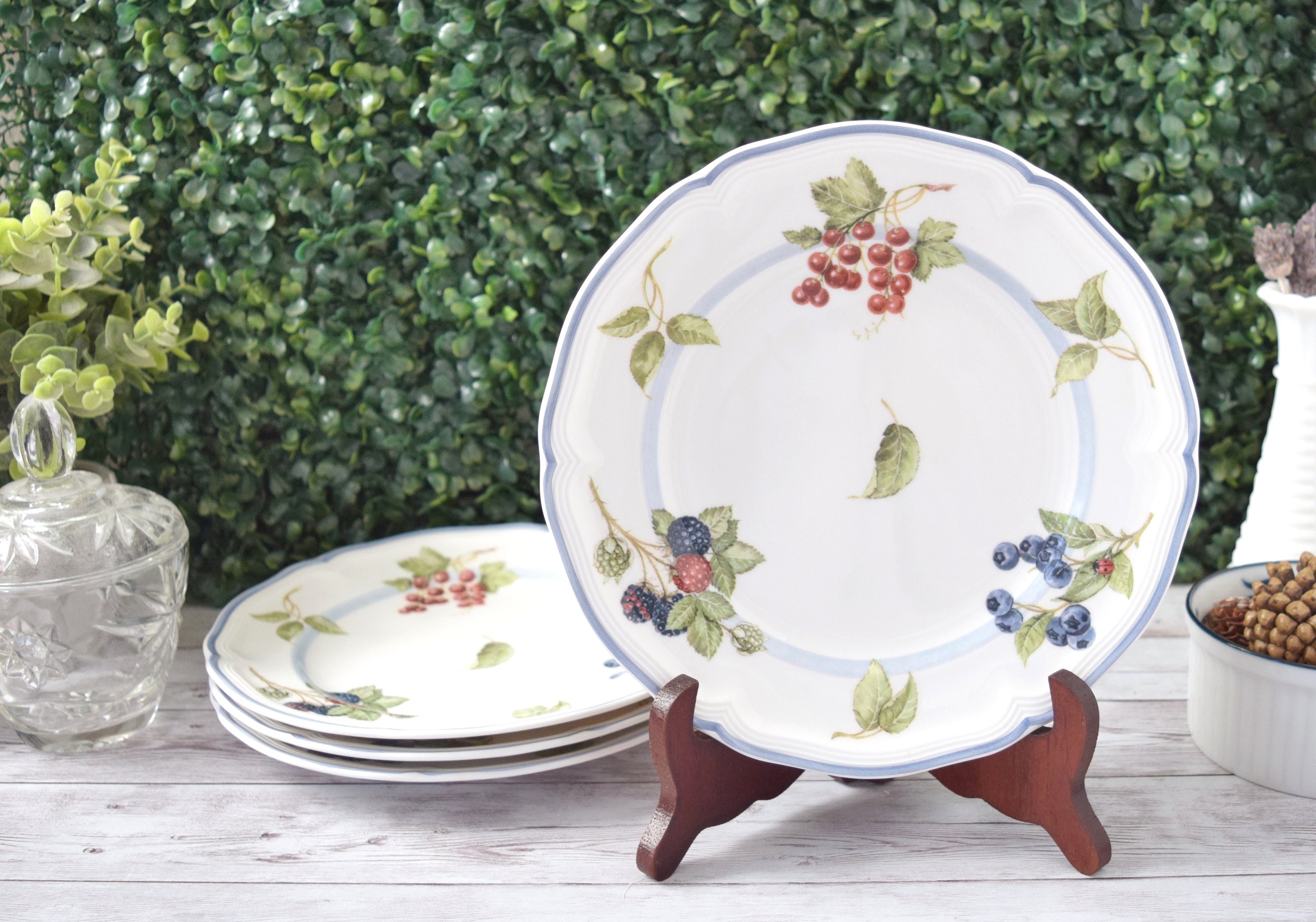 Rare Discontinued Villeroy Boch Cottage Pattern Salad Plates Set