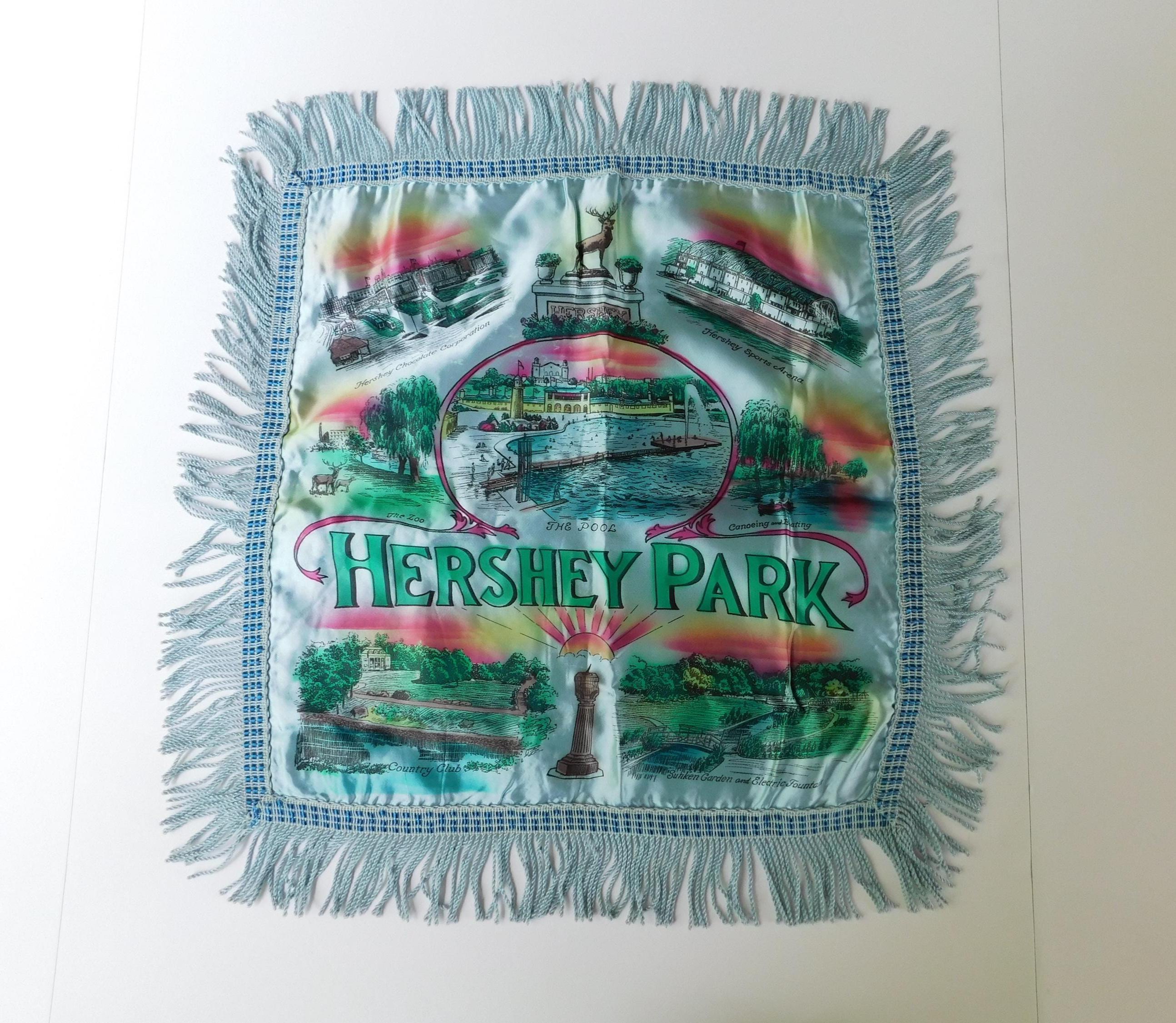 50s Souvenir Pillow - Etsy